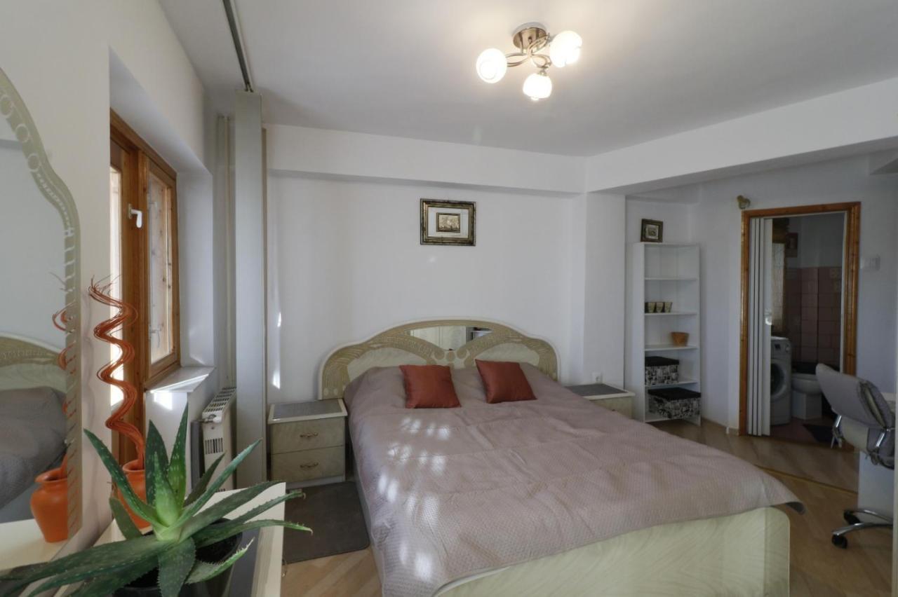 Danielle Apartament Iasi Exterior foto
